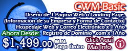Diseo Web